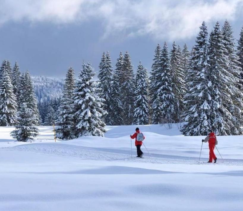 Chamole Gite Au Coeur Du Jura Entre Comte Et Vin Jaune, Gite Vin Jaune מראה חיצוני תמונה